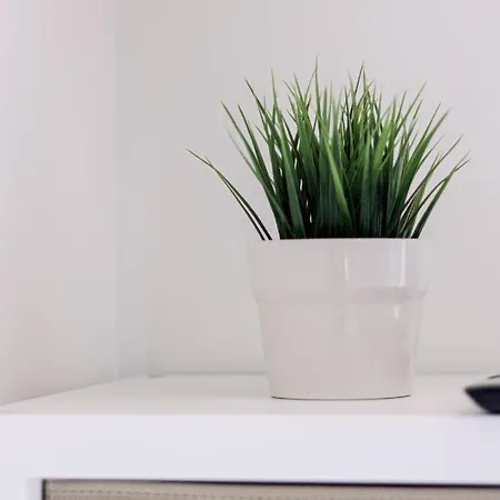 Διαμέρισμα Huyzevier *